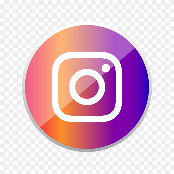 instagram icon button